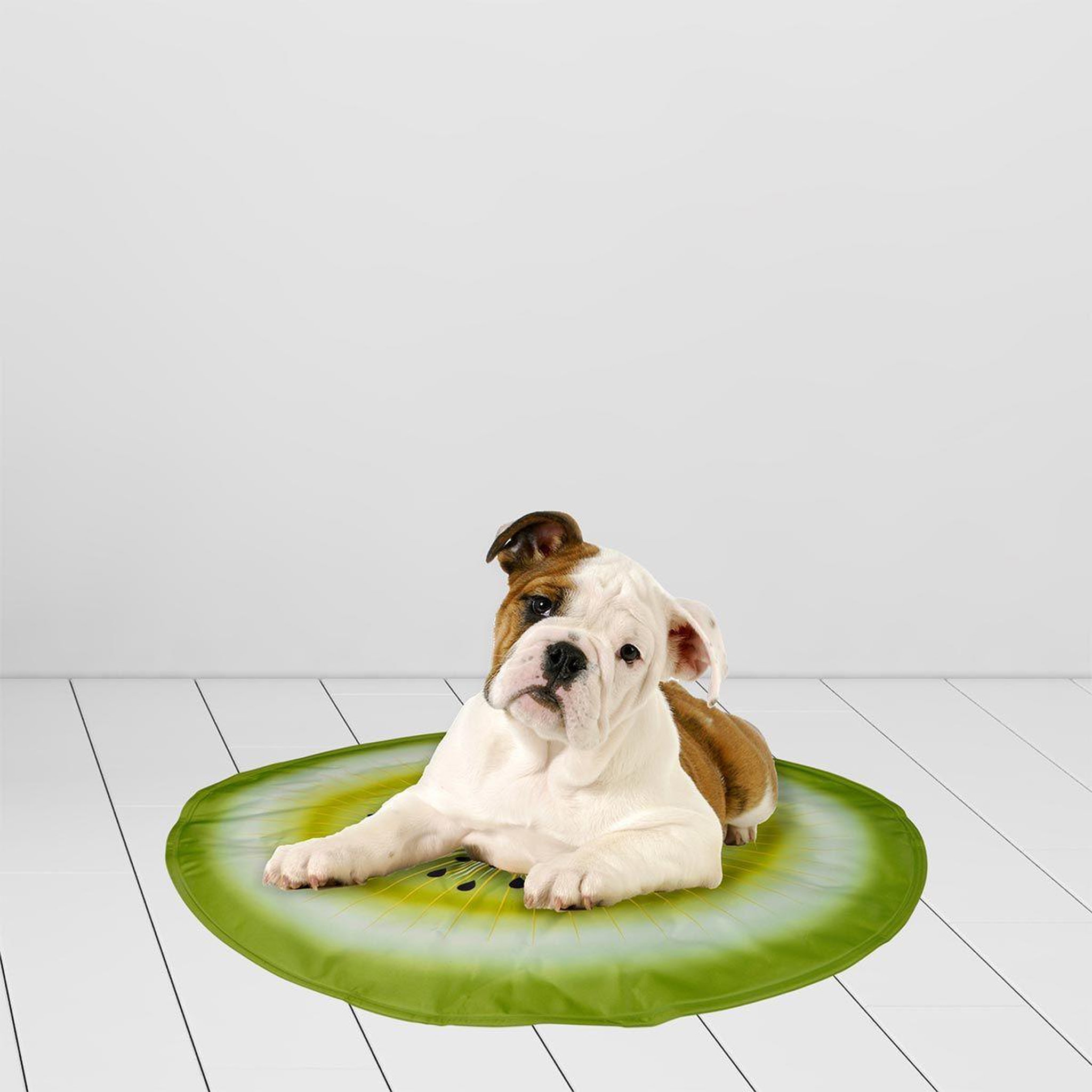 Voir la diapositive 2 : HOMEA Matelas Rafraîchissant pour Animaux  Fruit  60cm Vert