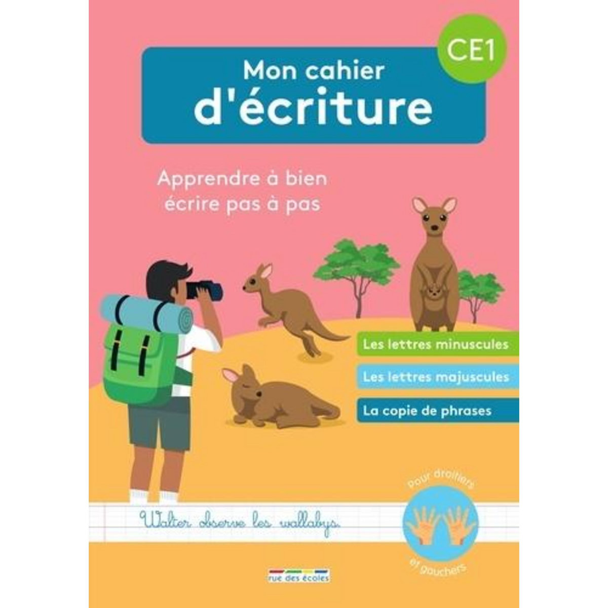 MON CAHIER D'ECRITURE CE1. APPRENDRE A BIEN ECRIRE PAS A PAS, POUR DROITIERS ET GAUCHERS, Grinevald Frédérique