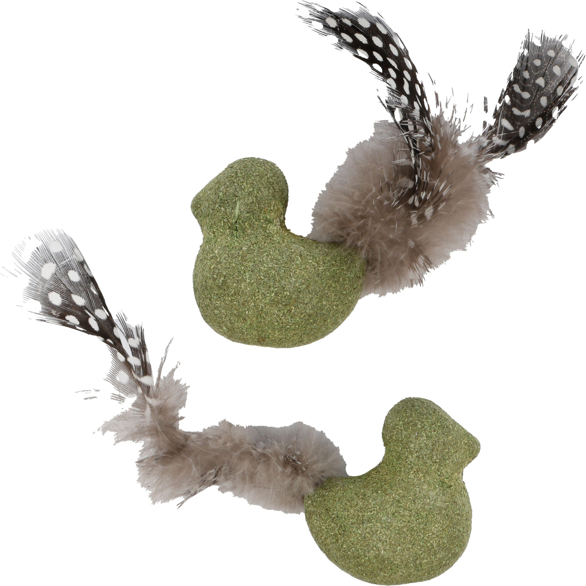 Eden Jouet oiseau katti en cataire avec plumes pour chat