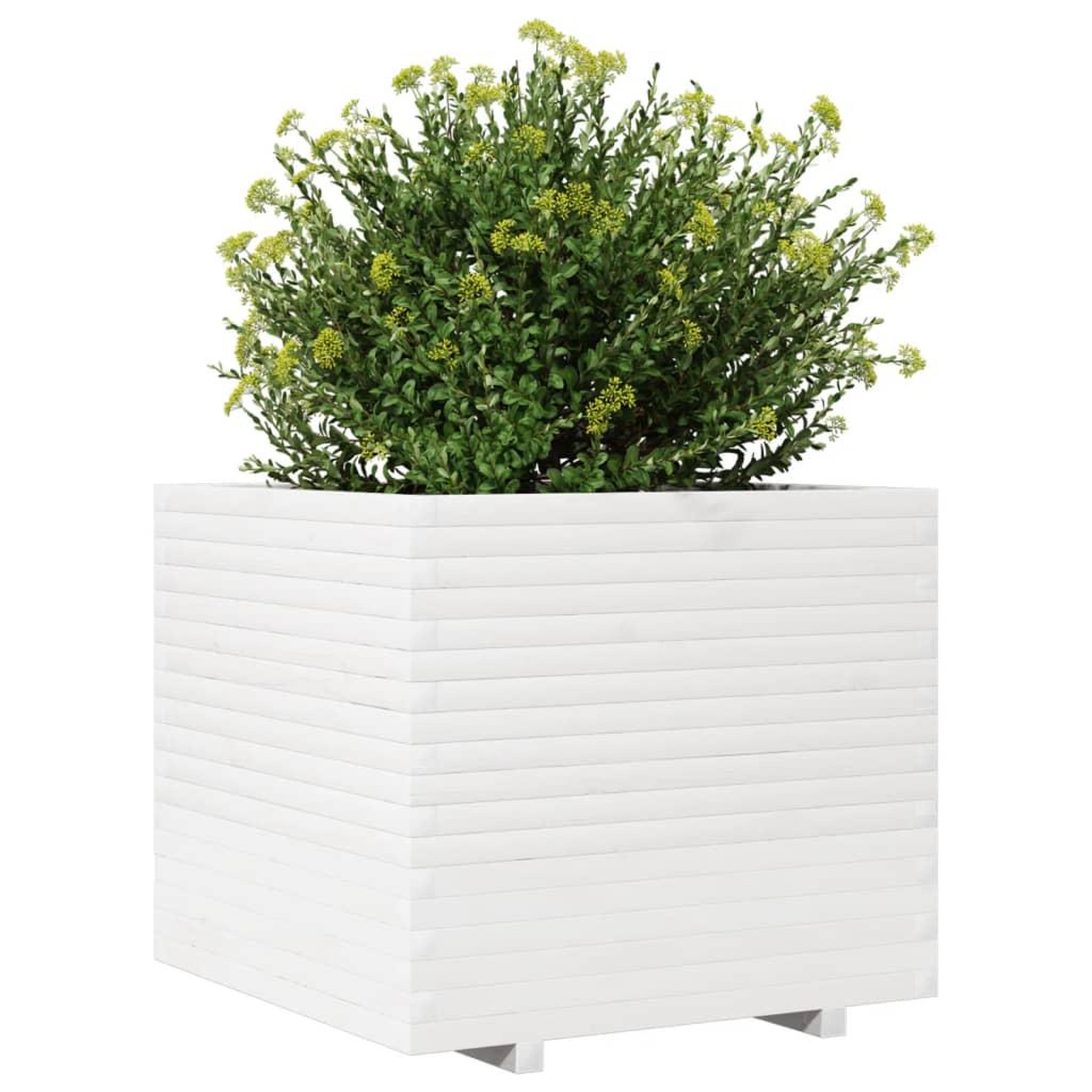 Voir la diapositive 4 : VIDAXL Jardiniere blanc 80x80x72 cm bois de pin massif