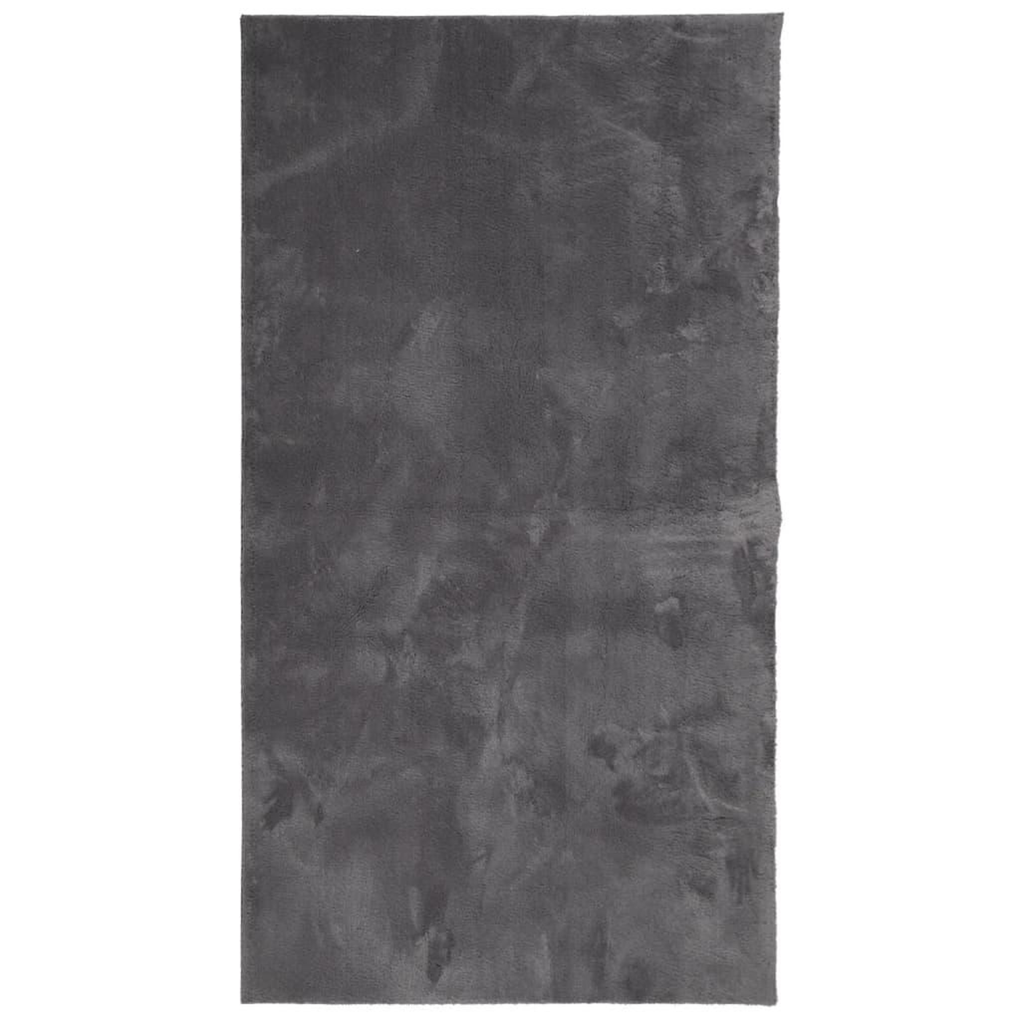 Voir la diapositive 2 : VIDAXL Tapis HUARTE a poils courts doux et lavable anthracite 80x150cm