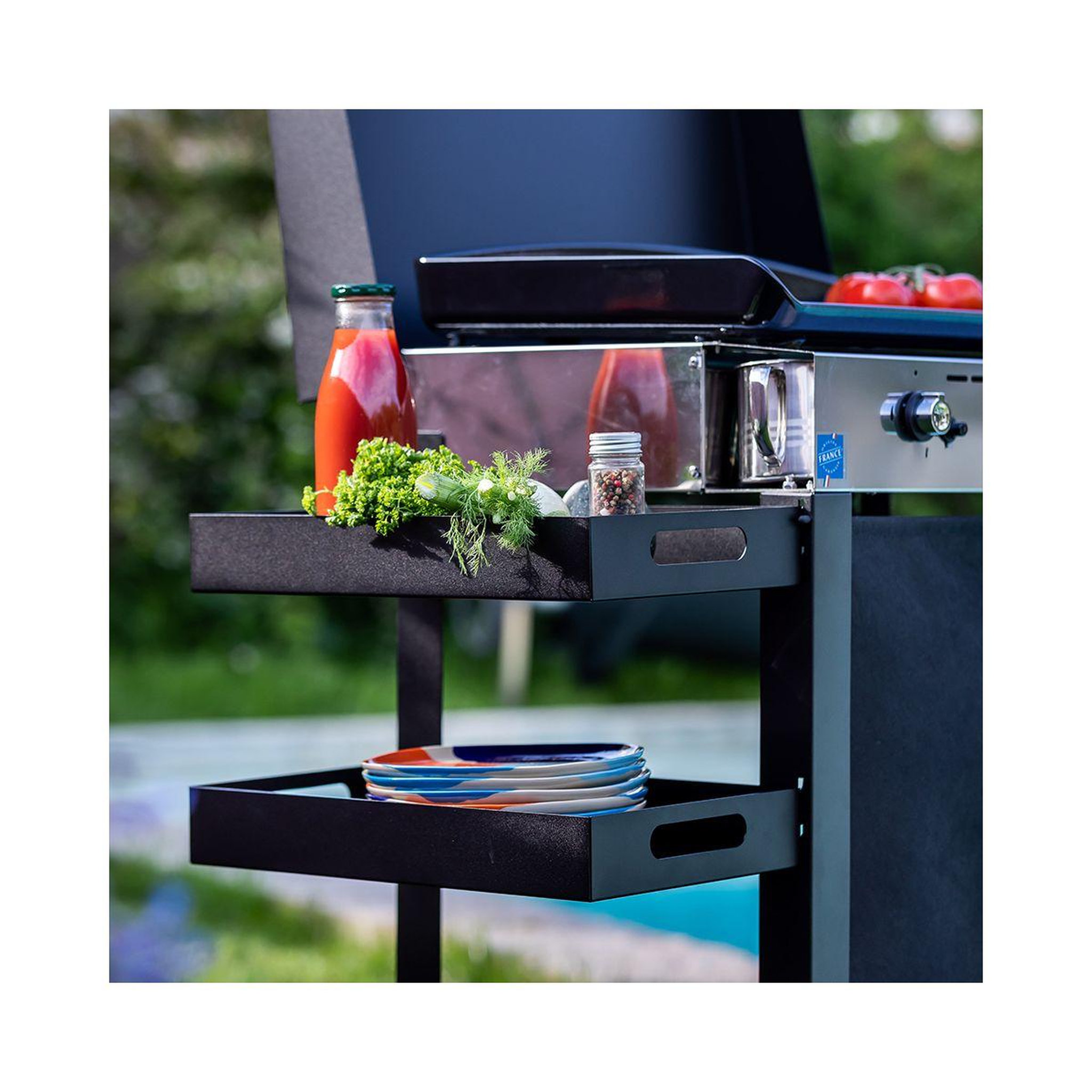 Voir la diapositive 4 : Eno Plancha gaz Combo Initial 65 Inox 3 bruleurs sur chariot, 62x36 cm