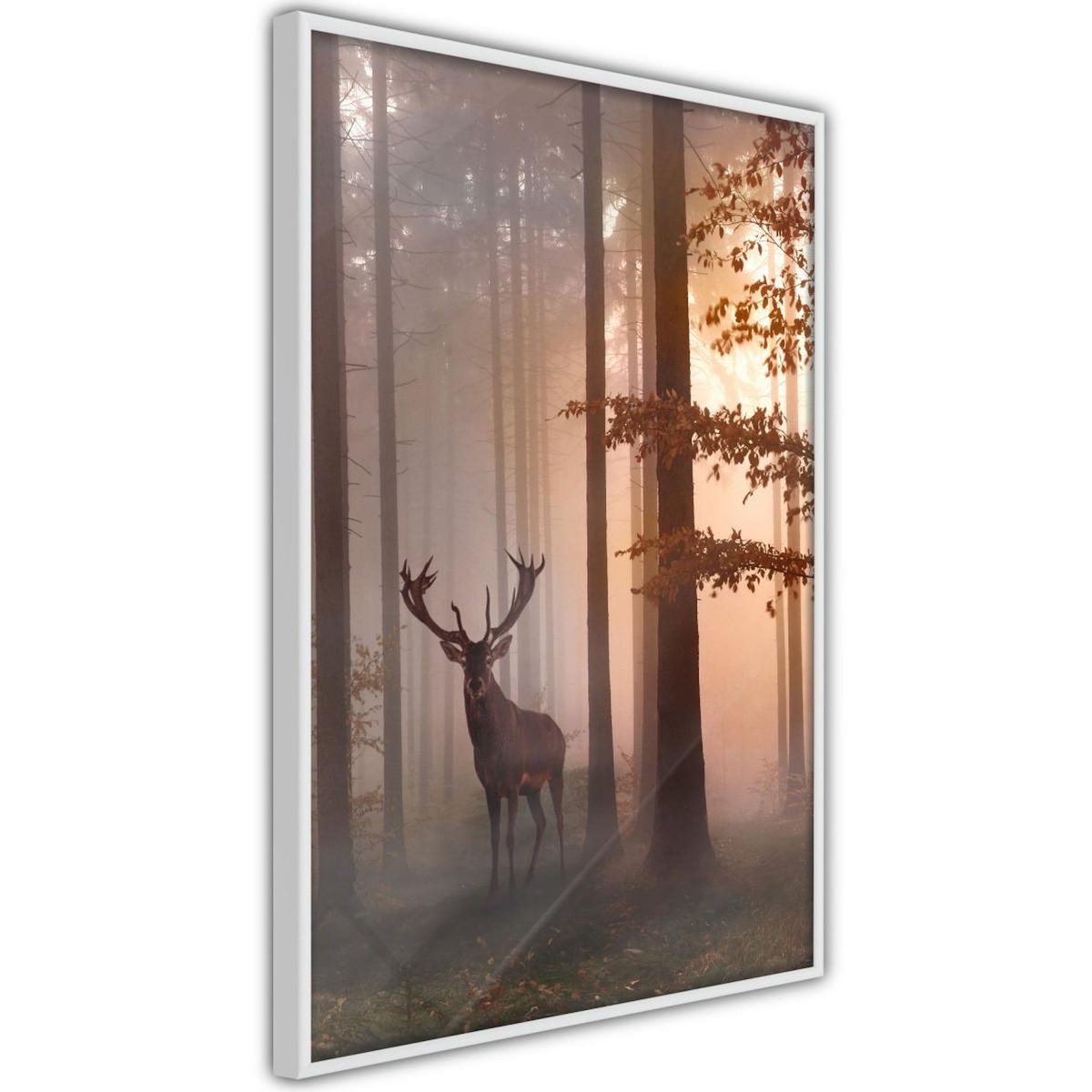 Paris Prix Affiche Murale Encadrée  Forest Seclusion