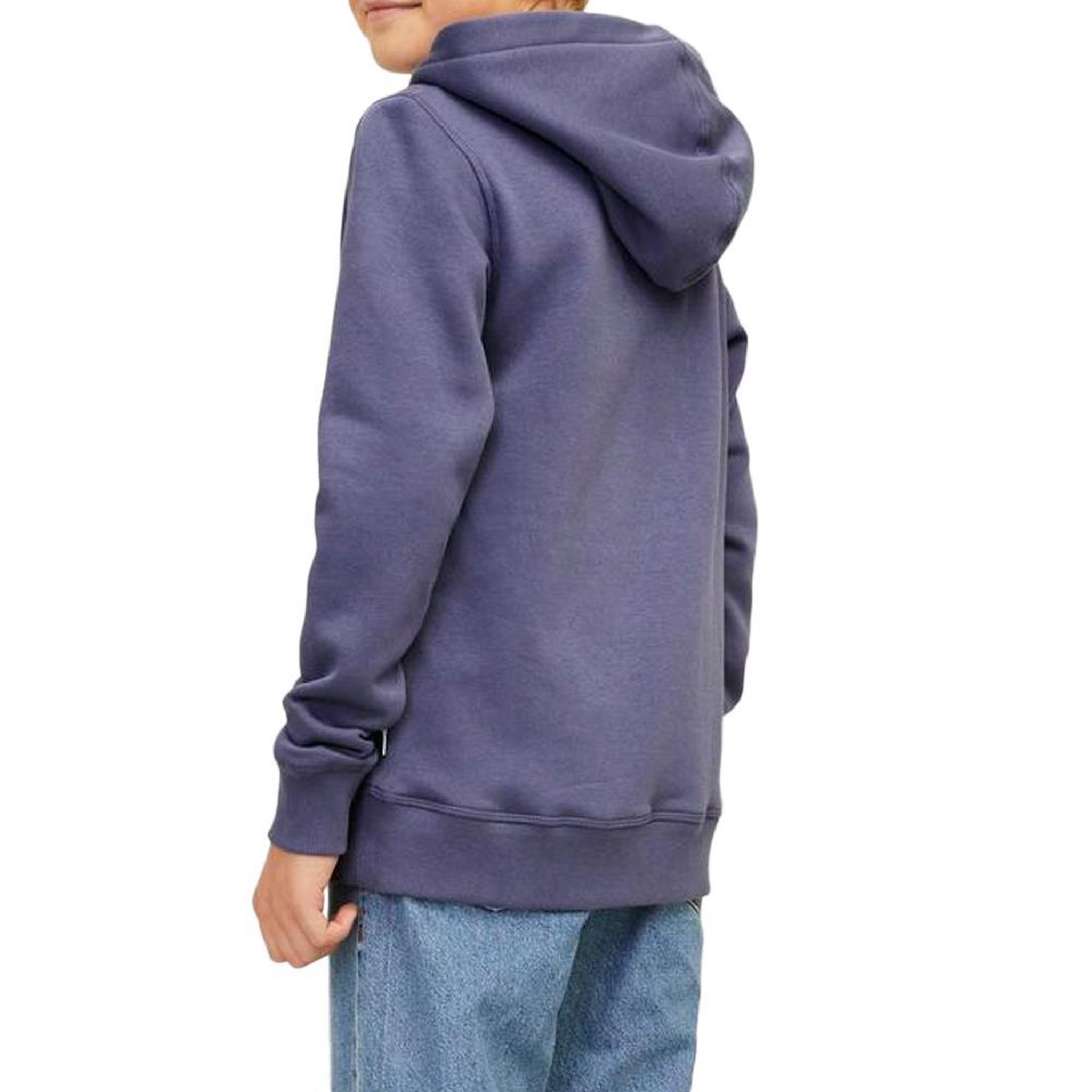 Voir la diapositive 2 : Jack & Jones Sweat Bleu Garçon Jack & Jones Jorfre