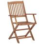 Voir la diapositive 4 : VIDAXL Chaises pliables de jardin lot de 8 avec coussins Bois d'acacia