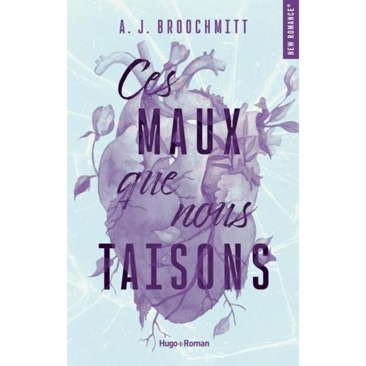 CES MAUX QUE NOUS TAISONS, BROOCHMITT A. J.