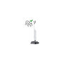 Voir la diapositive 1 : ROBOROCK Aspirateur laveur Flexi Pro