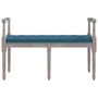 Voir la diapositive 3 : VIDAXL Banc Bleu 110x40x70 cm Velours