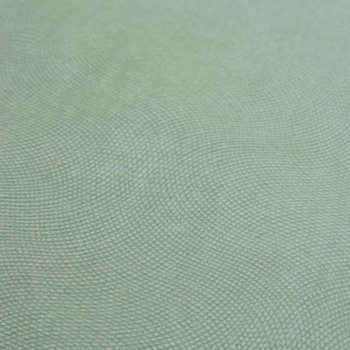 ATMOSPHERA Galette de Chaise Uni  Lilou  38x38cm Vert Céladon