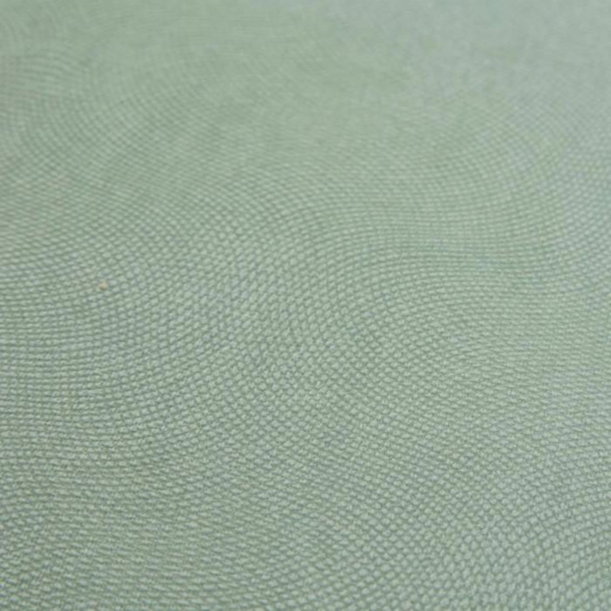 ATMOSPHERA Galette de Chaise Uni  Lilou  38x38cm Vert Céladon