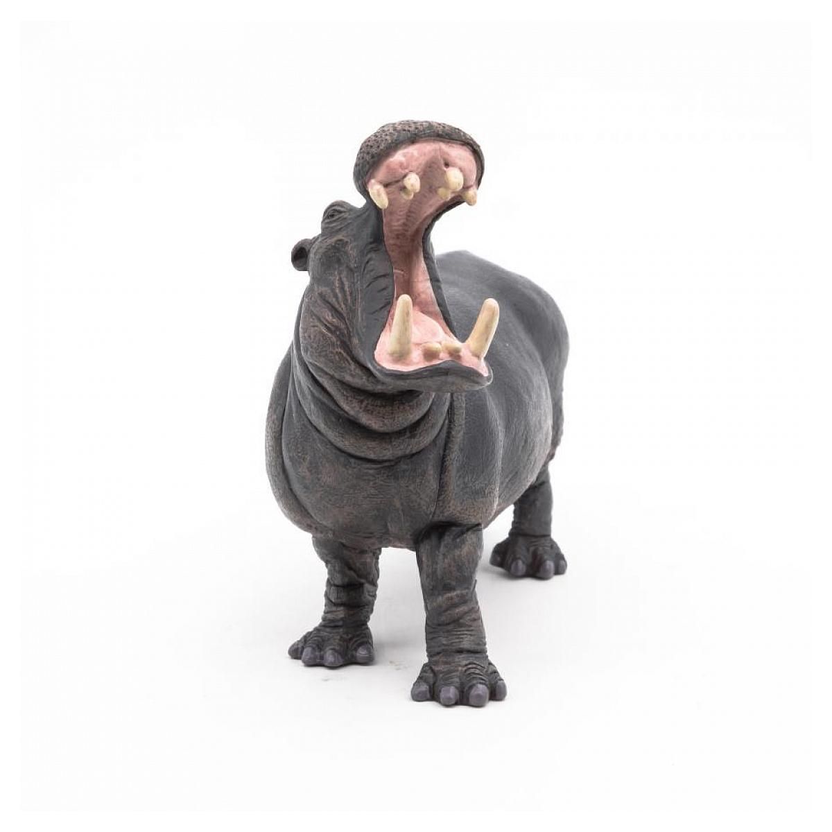 Papo 50051 figurine Hippopotame adulte