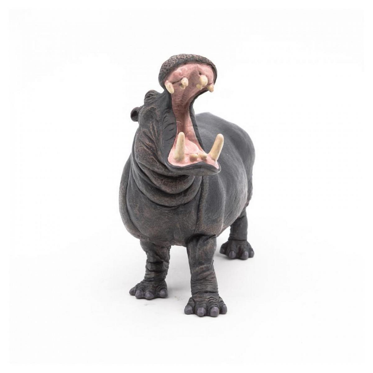 Papo 50051 figurine Hippopotame adulte