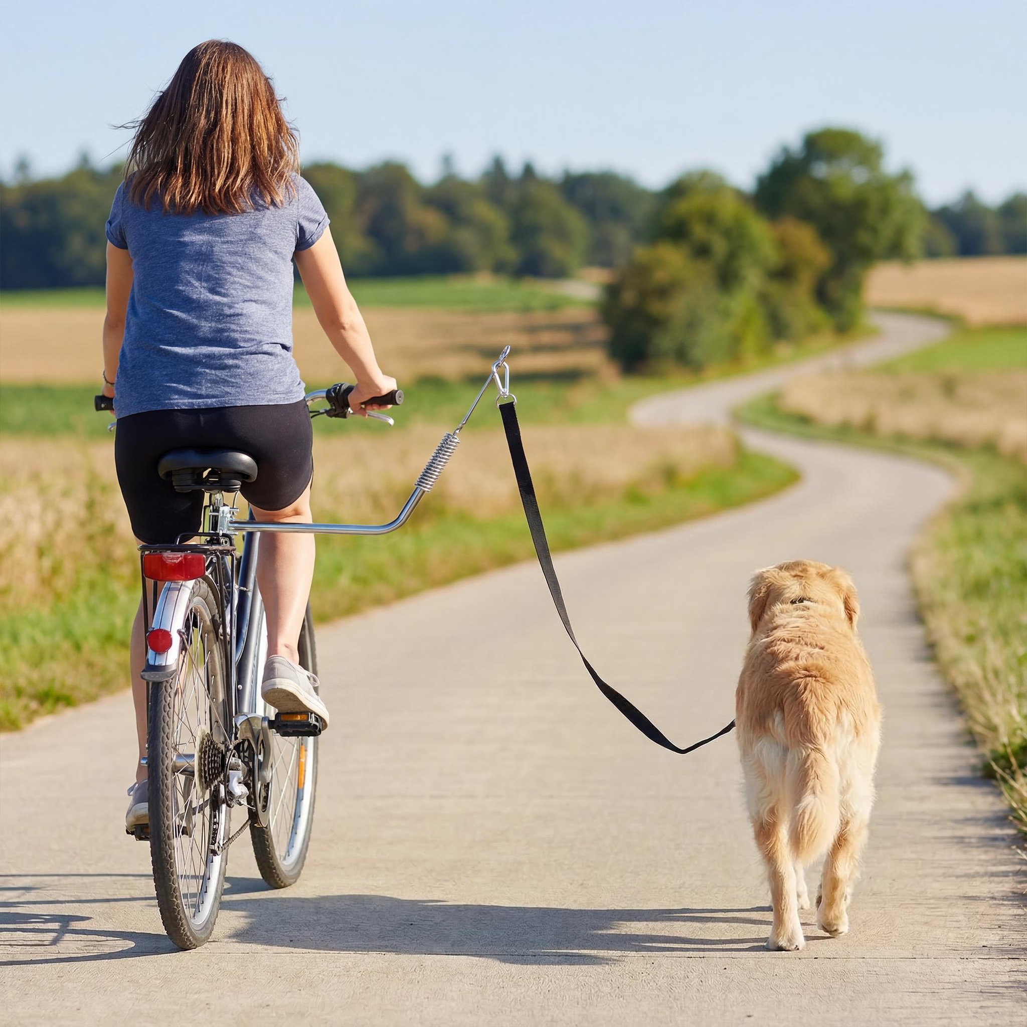 Voir la diapositive 2 : PAWHUT Laisse de vélo pour chien fixation facile rapide ressort amortisseur sangle ajustable