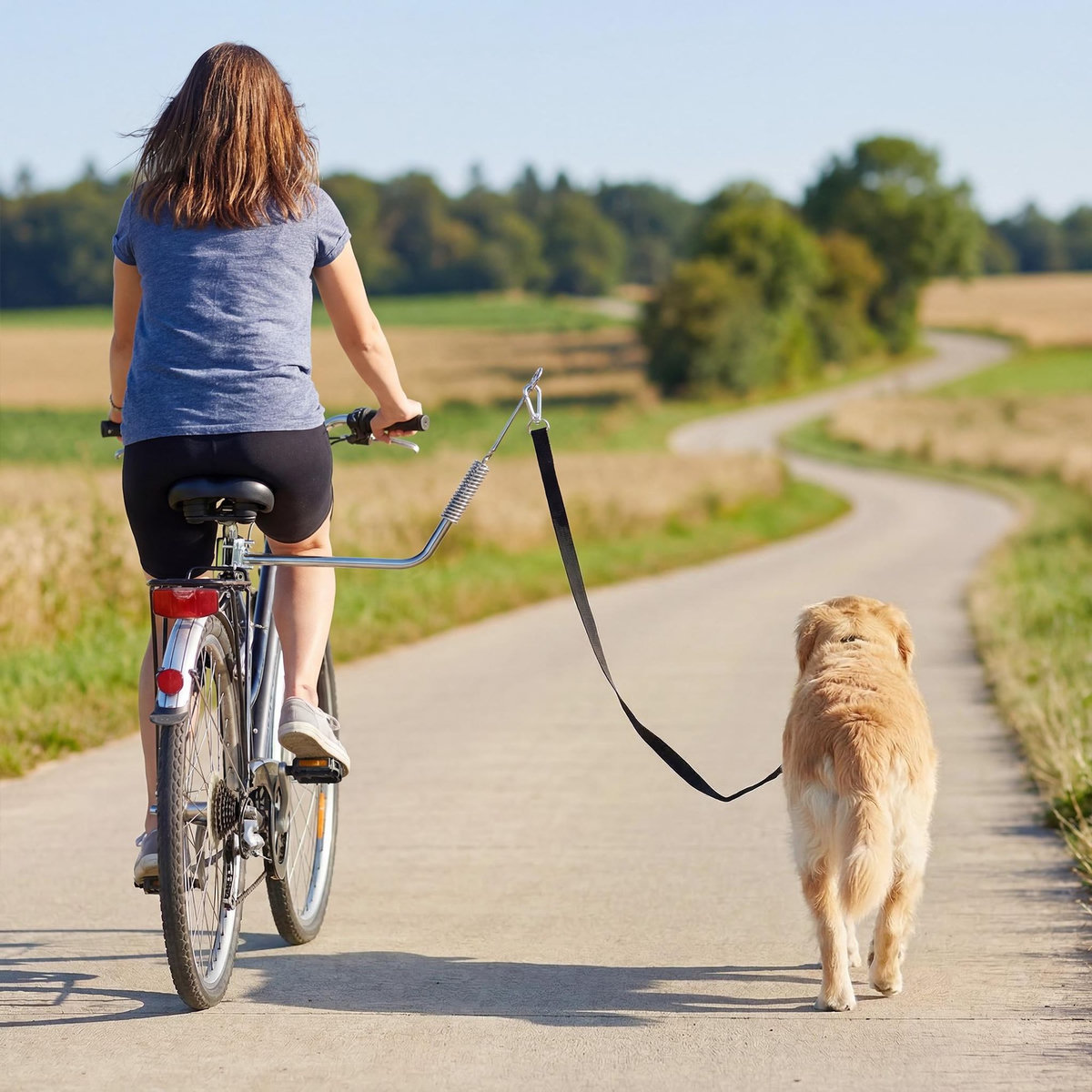 PAWHUT Laisse de vélo pour chien fixation facile rapide ressort amortisseur sangle ajustable