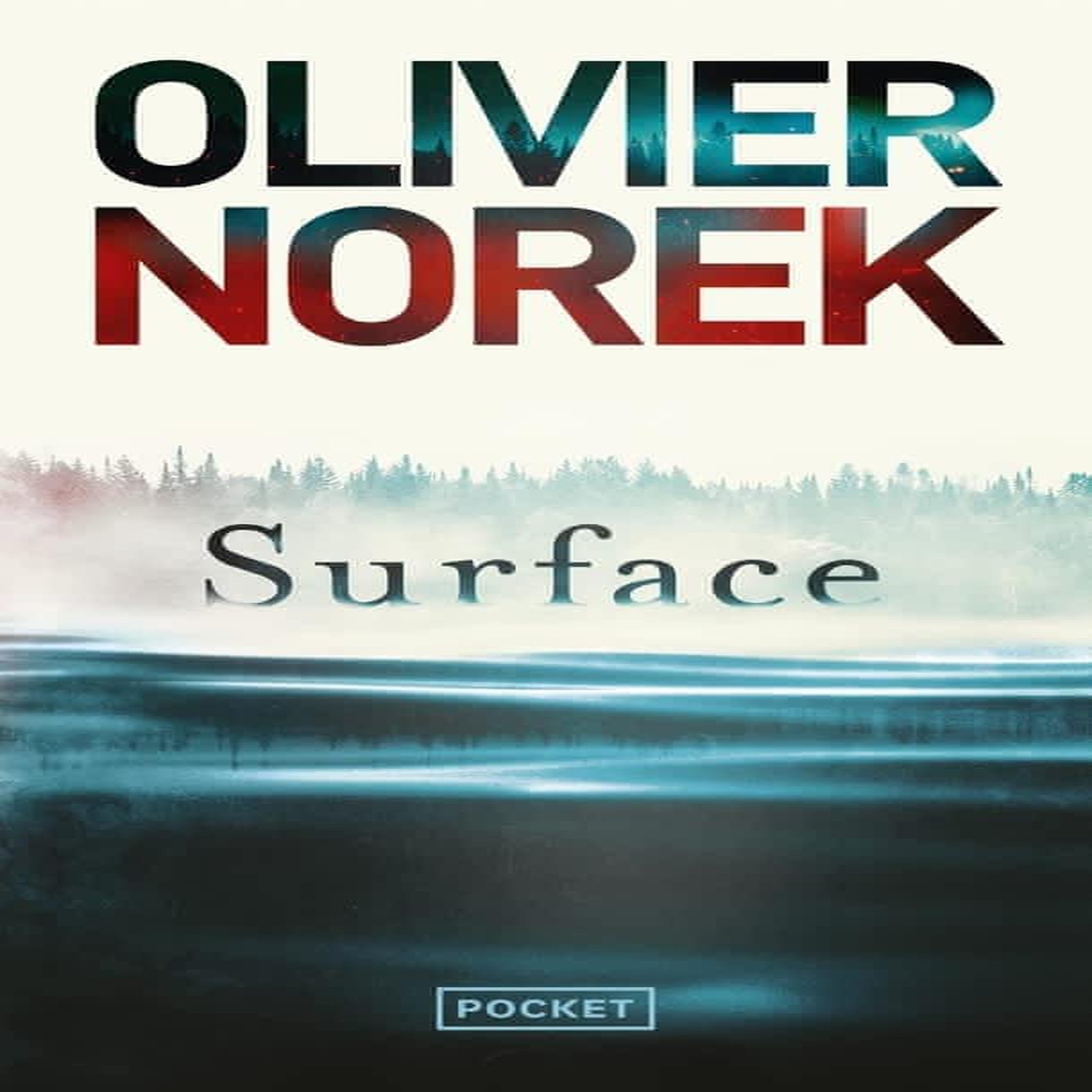 SURFACE, Norek Olivier
