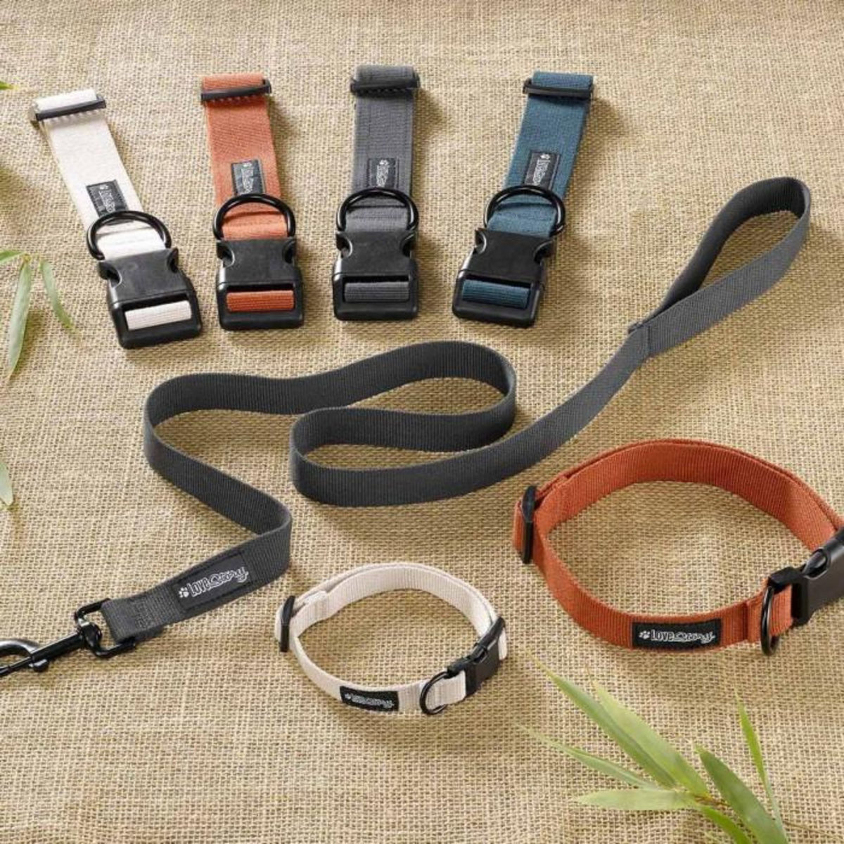 Paris Prix Collier pour Animaux  Réglable  35cm Émeraude