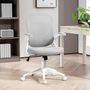 Voir la diapositive 2 : HOMCOM Chaise de bureau design ergonomique réglable accoudoirs relevables maille tissu gris