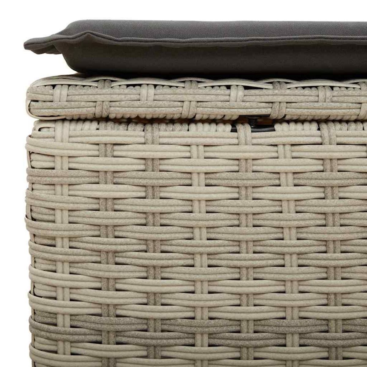 VIDAXL Salon de jardin 2 pcs avec coussins gris clair polyrotin acacia