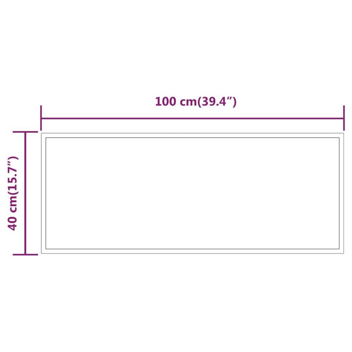 VIDAXL Miroir de salle de bain a LED 40x100 cm