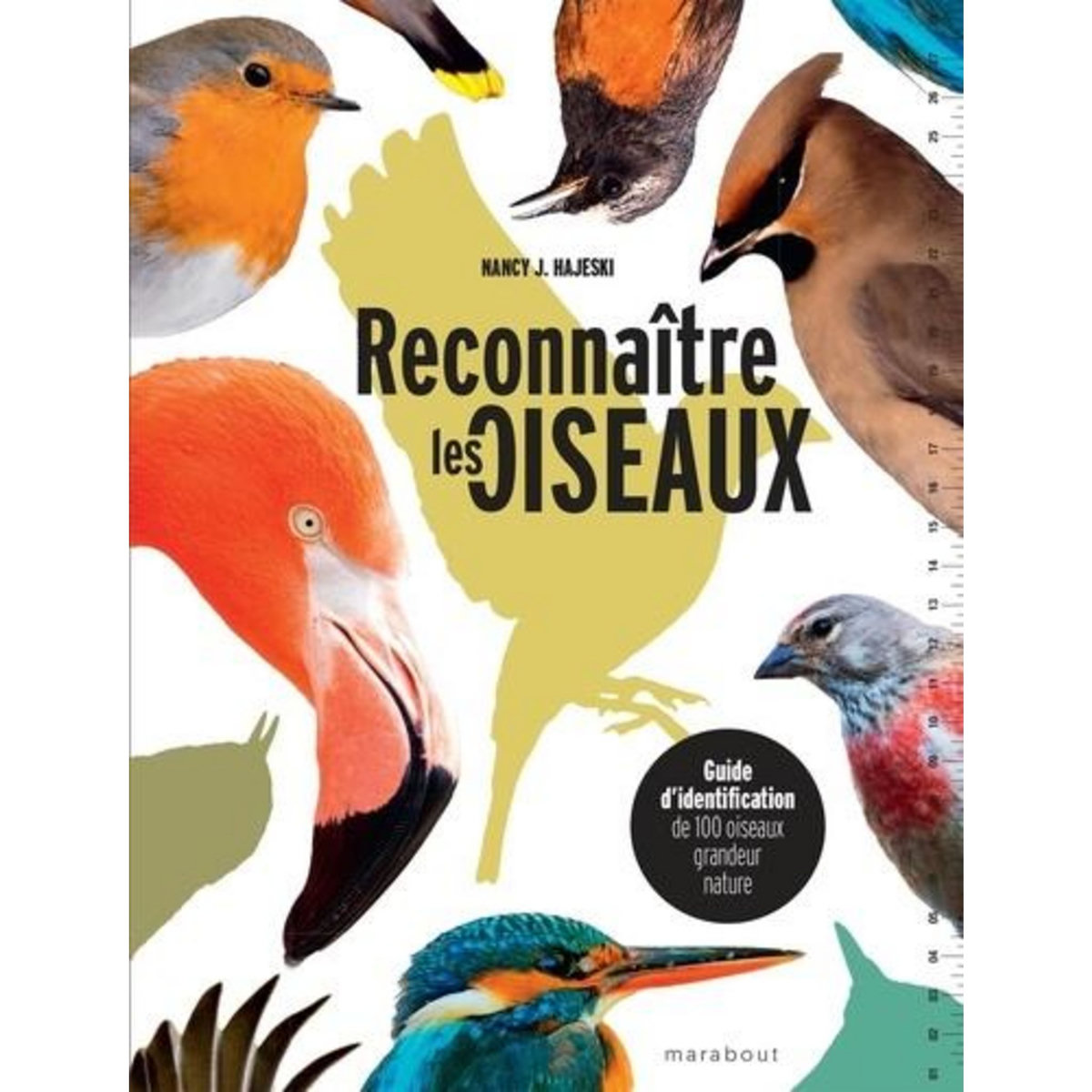 RECONNAITRE LES OISEAUX. GUIDE D'IDENTIFICATION DE 100 OISEAUX GRANDEUR NATURE, Hajeski Nancy J.