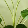 Voir la diapositive 6 : HOMCOM Arbre artificiel plante artificielle Monstera H. 180 cm tronc branches lichen feuilles de tortue grand réalisme pot inclus