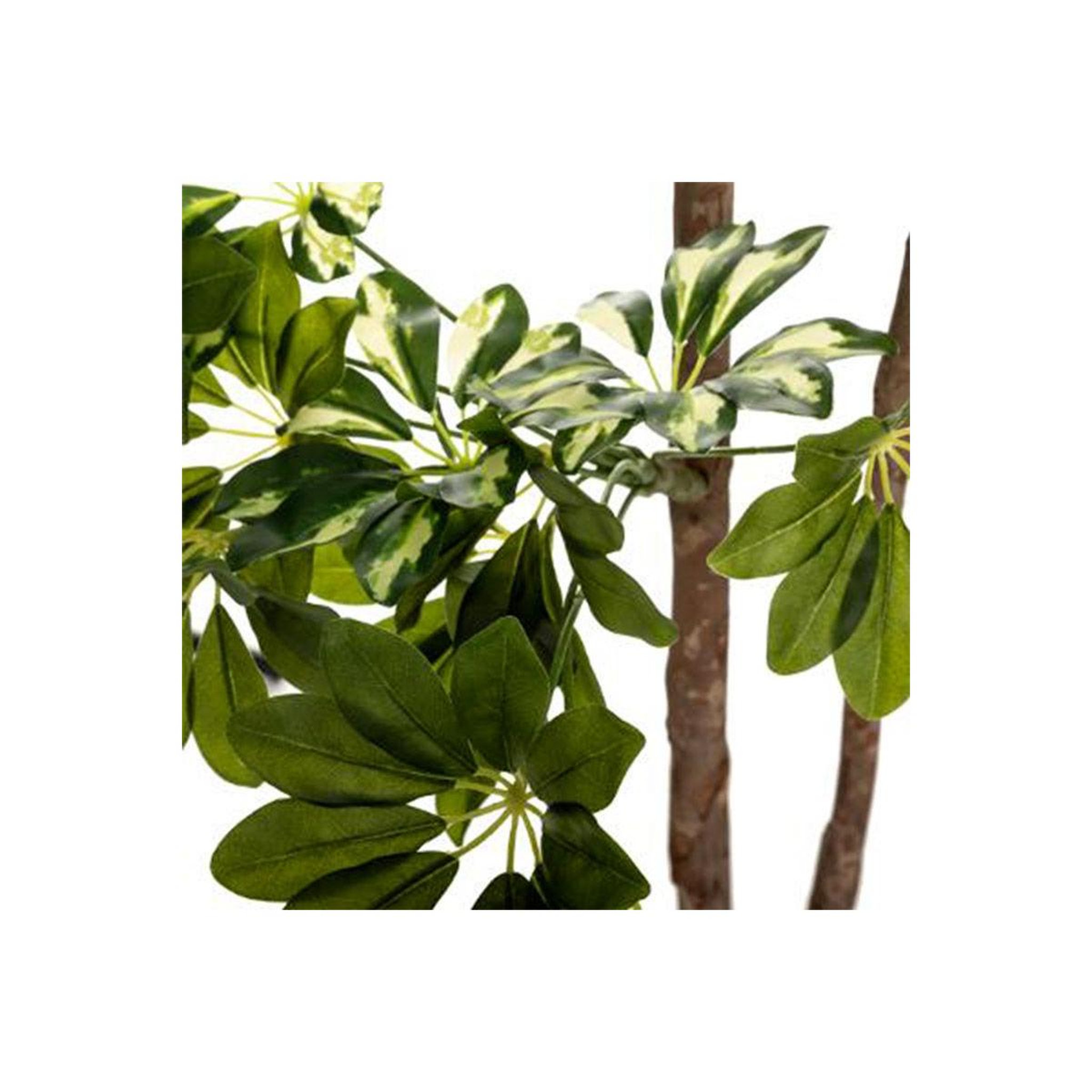 Voir la diapositive 2 : ATMOSPHERA Plante artificielle  schefflera  135cm vert & noir