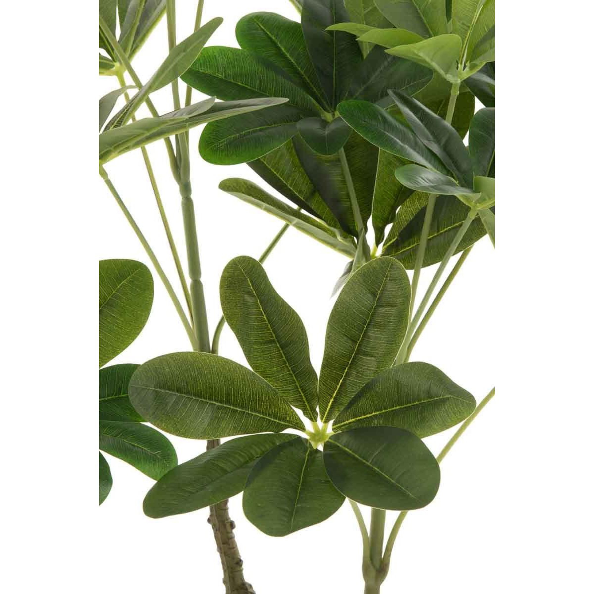 Voir la diapositive 2 : J-LINE Plante artificielle en pot  pachira  110cm vert