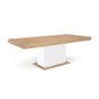 Voir la diapositive 6 : Table de séjour salle à manger extensible L160/200 cm TINA