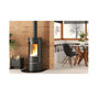 Voir la diapositive 3 : NORDICA EXTRAFLAME Poêle à bois fonte 7.5kw noir - 7119350