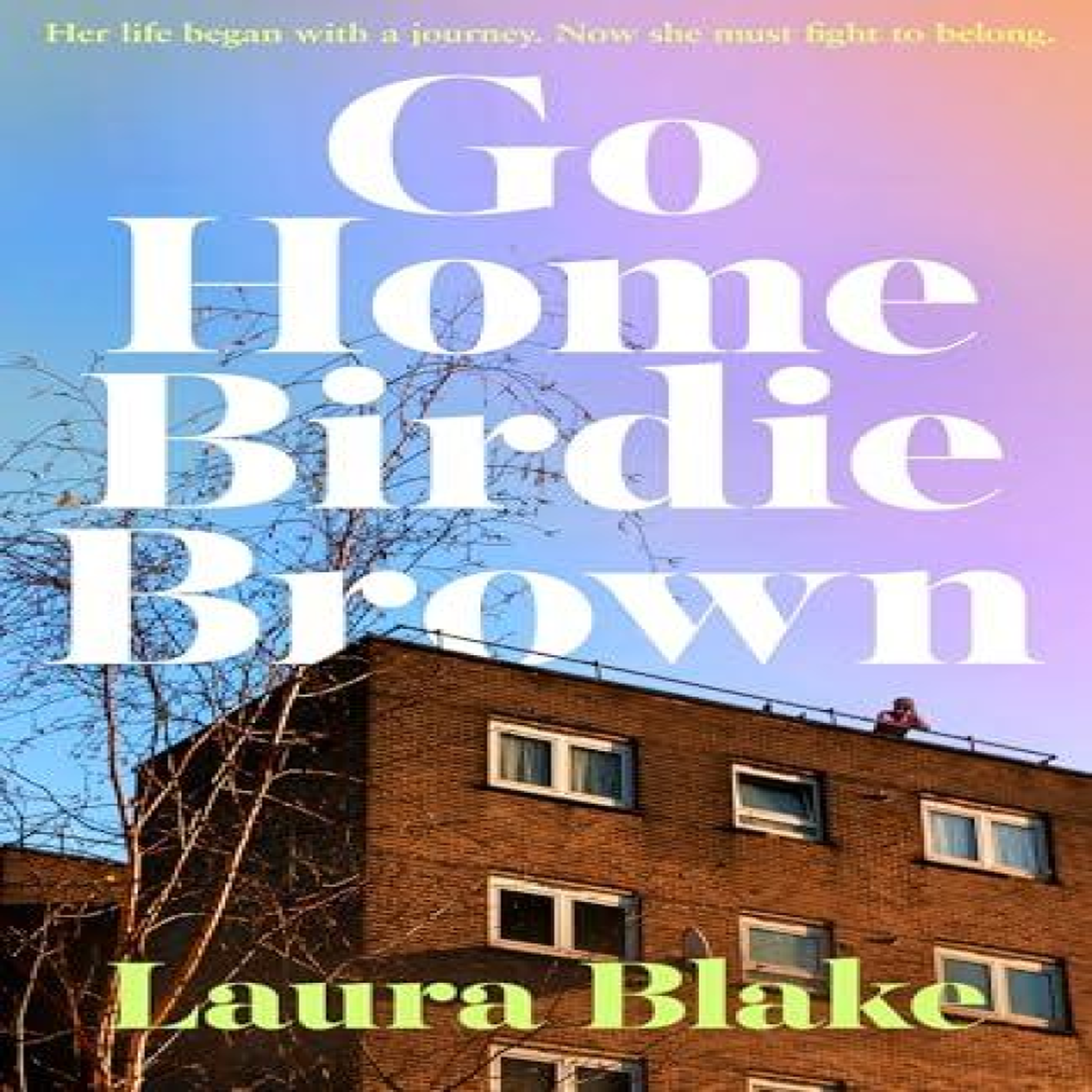 LIVRES GO HOME BIRDIE BROWN HB