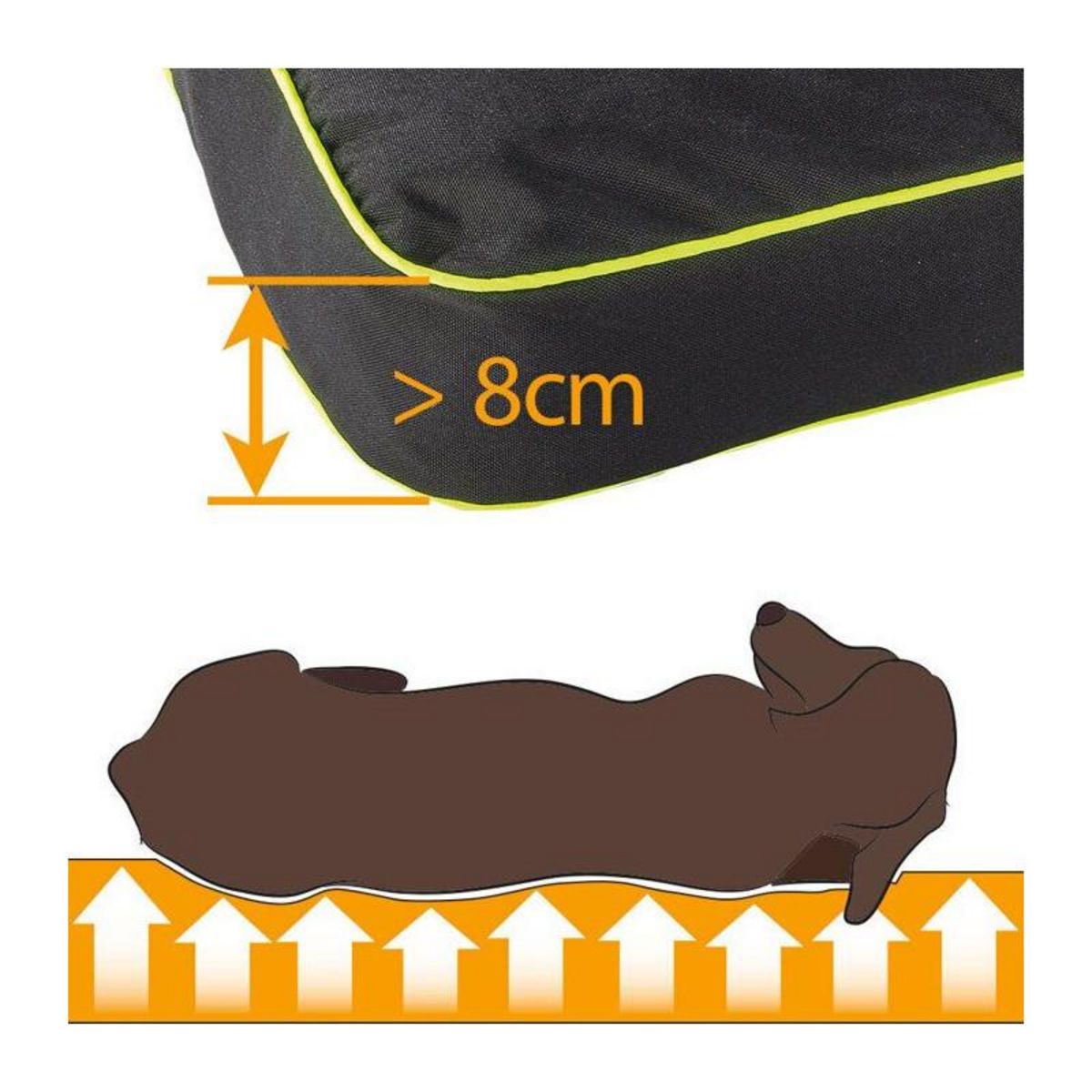 Ferplast Coussin pour chiens - Ferplast - Polo - Noir - 65 x 40 x 8 cm - Imperméable et déhoussable