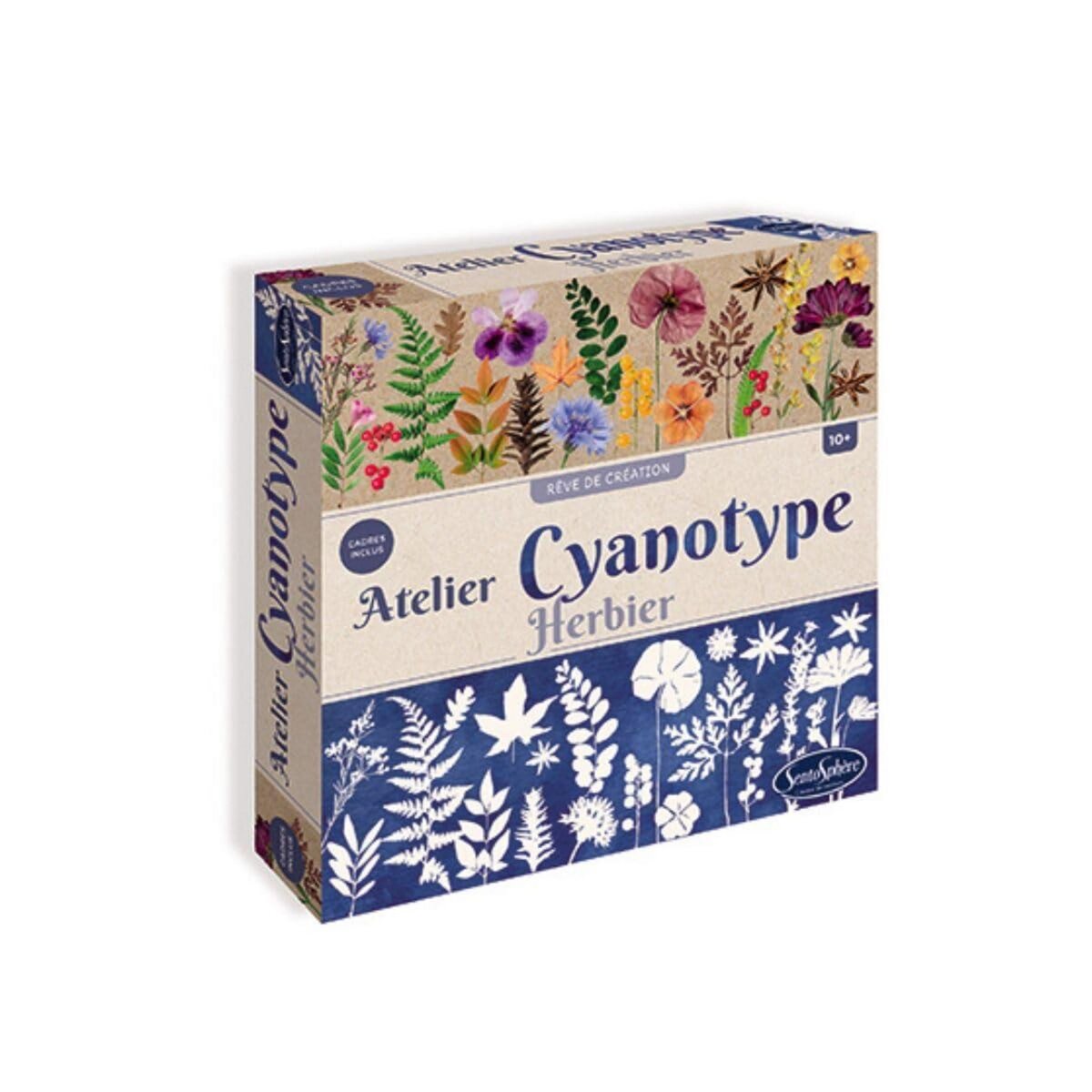 Sentosphere Atelier Cyanotype herbier