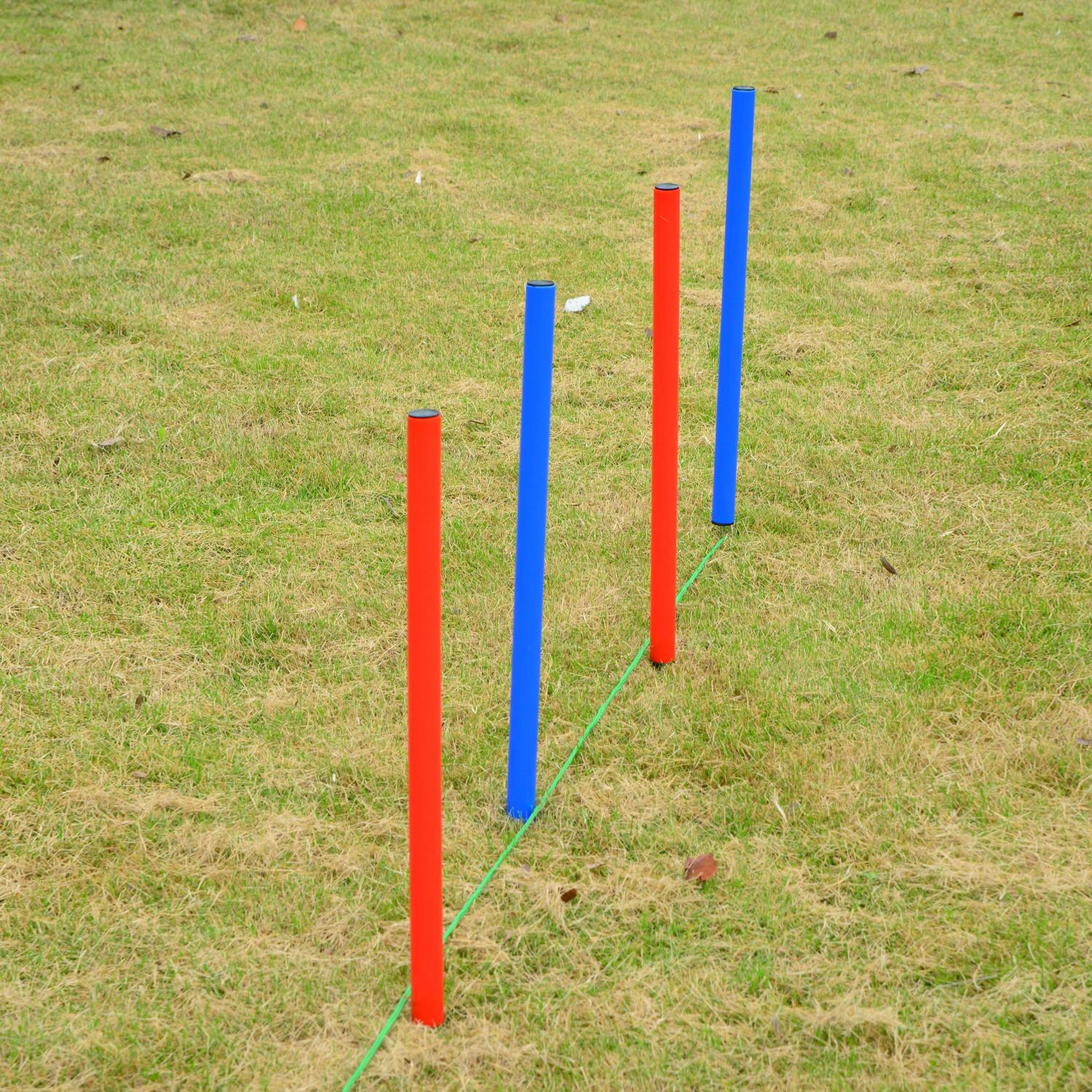 Voir la diapositive 6 : PAWHUT Agility sport pour chiens équipement complet obstacles et entrainement 11 pièces avec sac de transport acier rouge et bleu