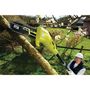 Voir la diapositive 2 : Ryobi Pack RYOBI élagueur électrique sur perche RPP755E - chaîne 25cm pour élagueur électrique sur perche