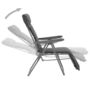 Voir la diapositive 3 : VIDAXL Chaises pliables de jardin avec coussins lot de 2 Gris