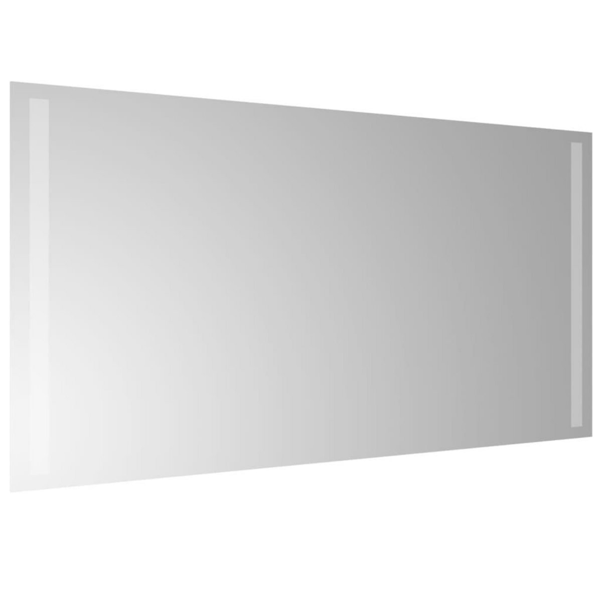 VIDAXL Miroir de salle de bain a LED 40x80 cm
