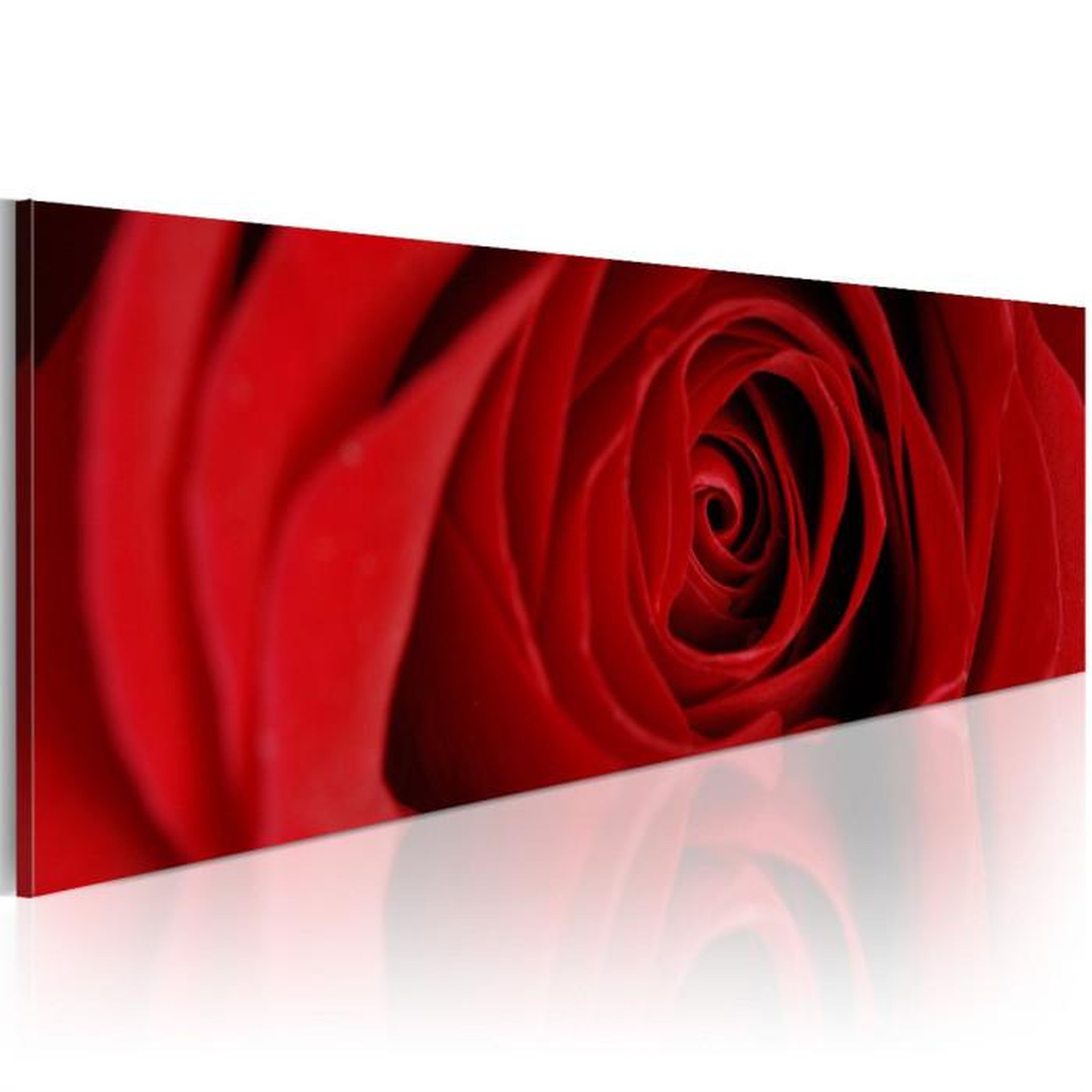 Paris Prix Tableau Imprimé  Rose du Nord. Coloris disponibles : Multicolore
