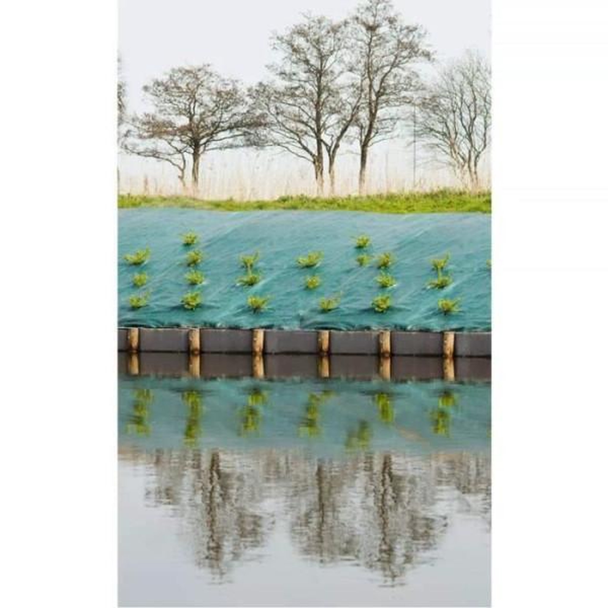Voir la diapositive 3 : NATURE Toile de paillage paysages - vert 90 gr/m2 - 1x10m