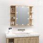 Voir la diapositive 3 : VIDAXL Armoire a miroir avec LED Chene sonoma 70x16,5x60 cm