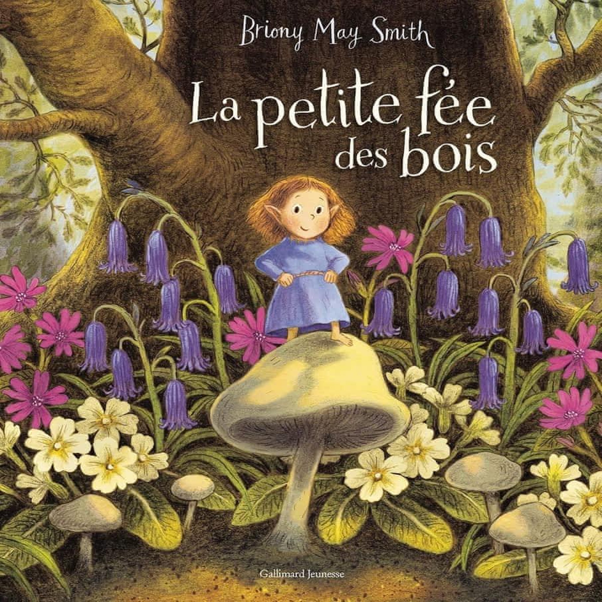 LA PETITE FEE DES BOIS, Smith Briony May