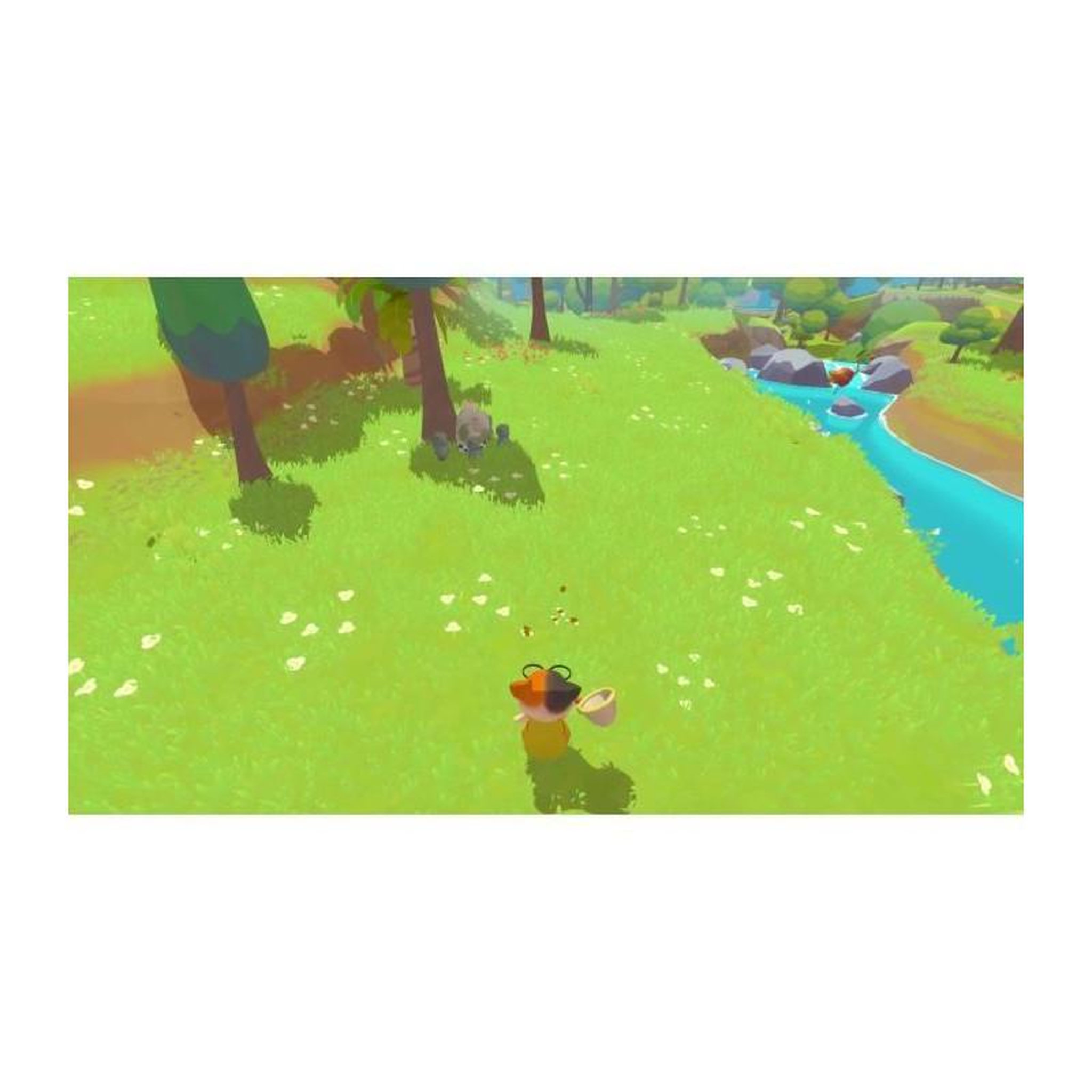 Voir la diapositive 3 : MICROIDS Petit Island - Jeu Xbox Series X
