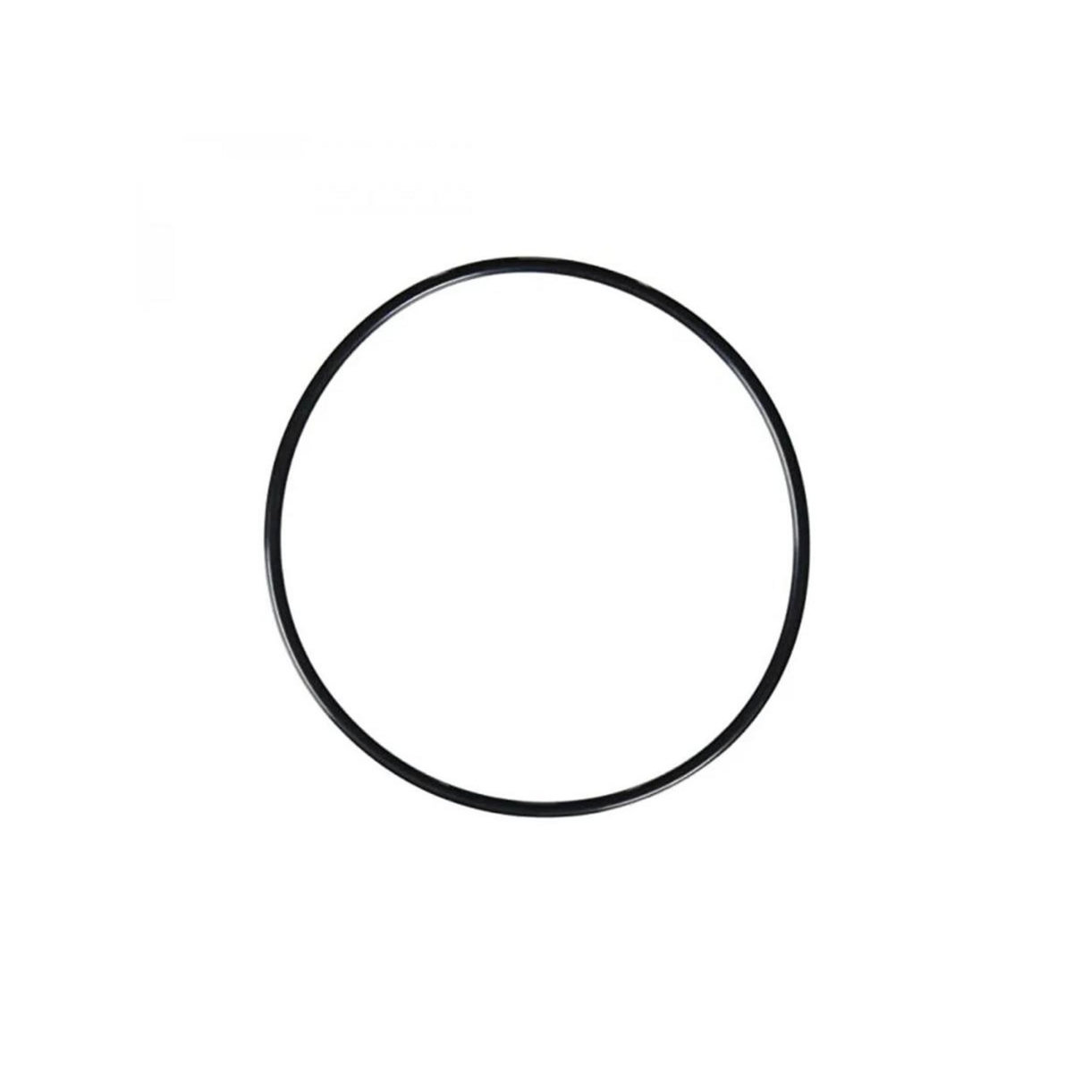 Hayward Joint torique de dôme pour Filtre à Sable Side - Hayward