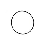 Hayward Joint torique de dôme pour Filtre à Sable Side - Hayward