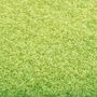 Voir la diapositive 5 : VIDAXL Paillasson lavable Vert 40x60 cm