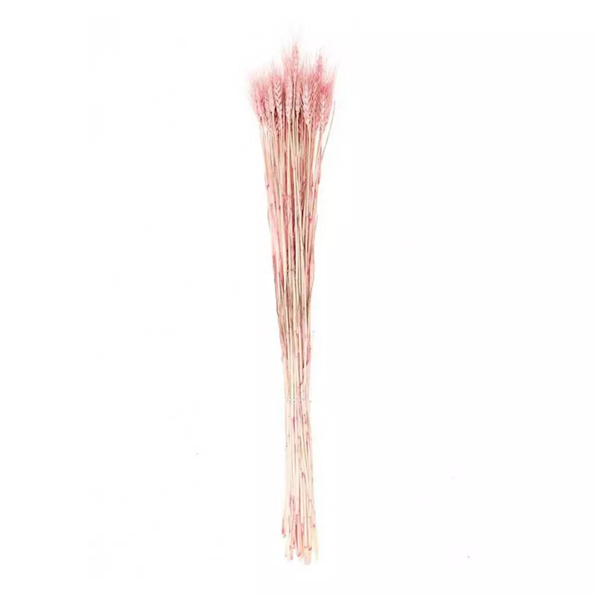 RICO DESIGN Gerbes de bés séchés rose - 70 cm