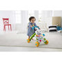 Voir la diapositive 6 : FISHER PRICE Fisher-Price - Mon Trotteur Zebre Parlant - Trotteur bébé - 6 mois et + DLD96