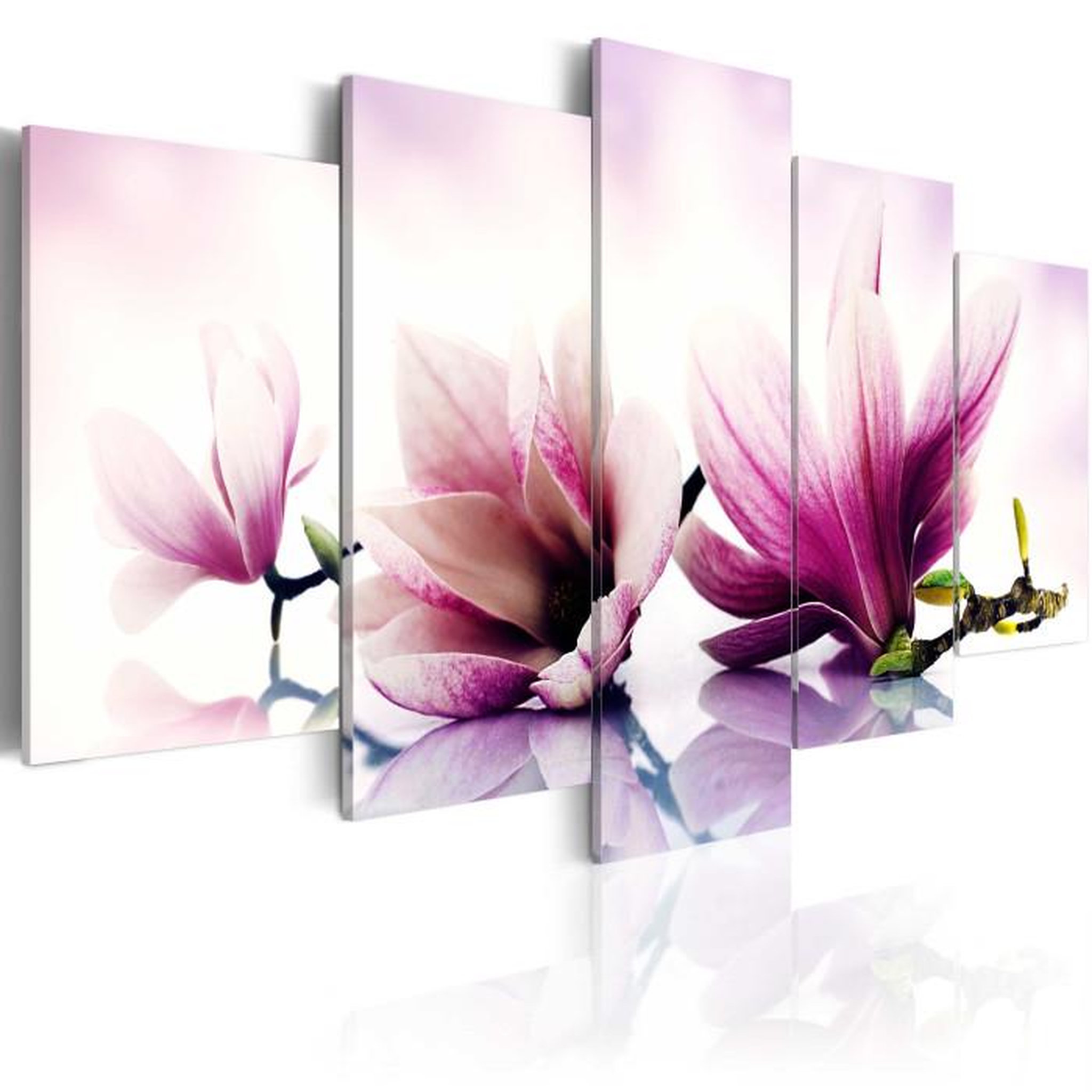 Paris Prix Tableau Imprimé  Fleurs Roses Magnolias. Coloris disponibles : Multicolore