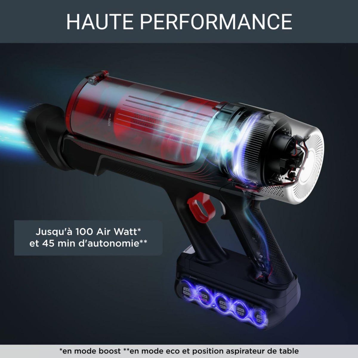 ROWENTA Aspirateur balai X Force Flex 9.60 Kit Animal RH2079WO