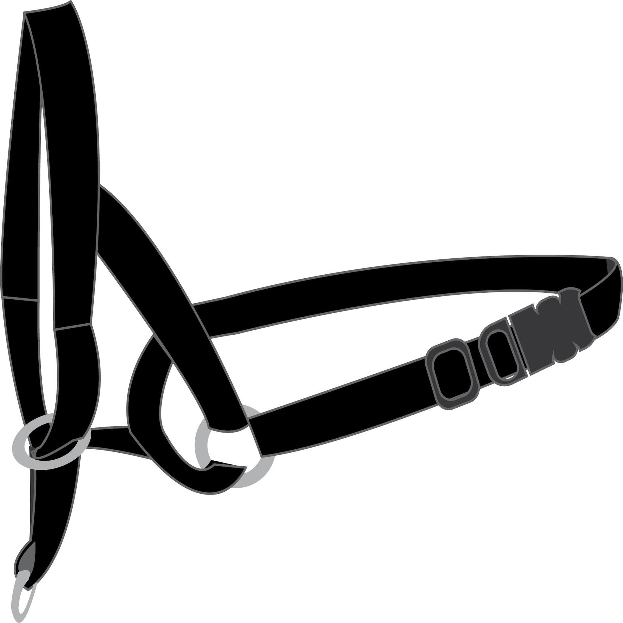 Eden Collier educatif easy anti traction. Coloris disponibles : Noir