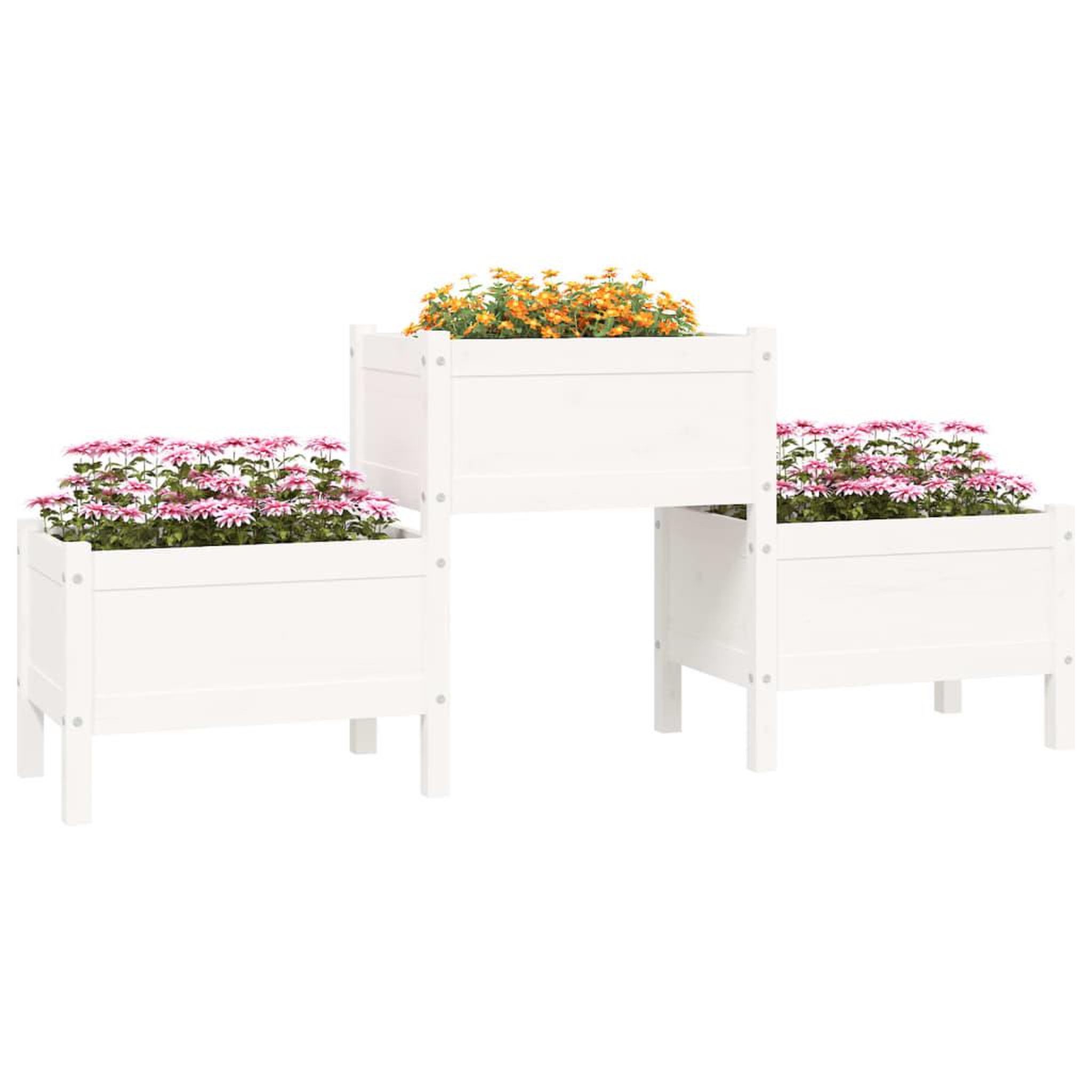 Voir la diapositive 3 : VIDAXL Jardiniere Blanc 178,5x44x75 cm Bois massif de pin
